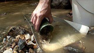 Gold panning [upl. by Artur]