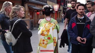 京都祇園、多くの外国人観光客が人生初！夢だった念願の美しい舞妓さんたちのあいさつ回りに感動！海外の反応 [upl. by Assadah]