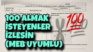 10Sınıf Biyoloji 1Dönem 1Yazılı [upl. by Isherwood]