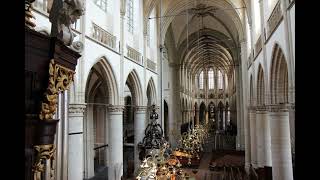 Messiaen La Nativité  Dessein Eternels  Gerard Adriaanse  Kam orgel Grote Kerk Dordrecht [upl. by Ronalda575]