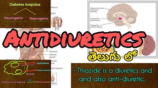 Antidiuretics in telugu [upl. by Kelvin]