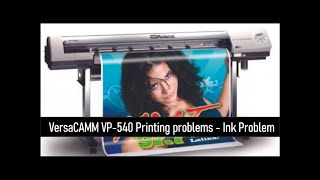 Roland VP 540 inks printing problem Fixed [upl. by Nasya711]