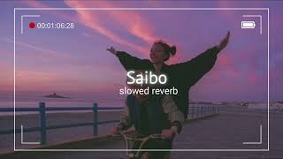 Saibo  Slowed Reverb [upl. by Pravit]