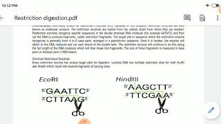 Restriction digestion of Lambda DNA  practical [upl. by Nnaeed]