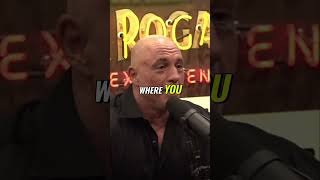 Rogan seems to love Trump no trump [upl. by Rekoob978]