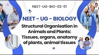 NEET Biology Quiz Structural Organisation Tissues Plant Anatomy Animal Tissues Organs amp Functions [upl. by Thurmond]