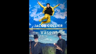 Jacob Collier amp Väsen [upl. by Yllen754]