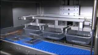 Tramper D360  standalone denester for placing trays on a conveyor belt [upl. by Etnom]