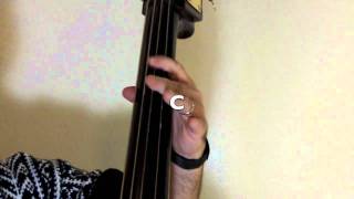 Playing the upright bass  simple swing style lesson [upl. by Nuahs]