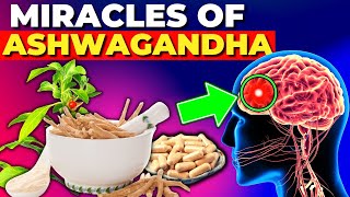 7 Amazing Benefits of Ashwagandha You NEED to Know [upl. by Ayanej973]