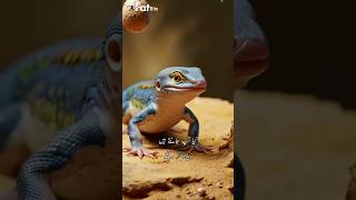 Threetoed skinks 🦎factbite facts sciencefacts bitesizedfacts [upl. by Suirada]