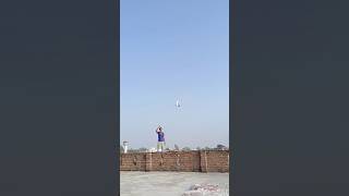 pigeon video 🕊️😍🥰 pigeon pigeontraning bird kabootar dostistatus youtubeshorts [upl. by Eisso]