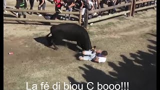 Best of moment  La fé di biou C booo  Octobre 2024 [upl. by Ecnav]