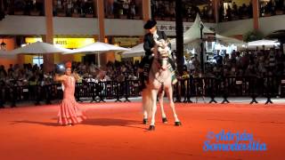 Caballo Bailando Sevillanas [upl. by Ashmead]