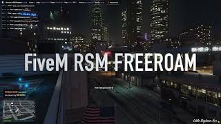 FiveM RSM FREEROAM [upl. by Aicilet522]