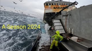 Baranof Slaying Cod 2024 [upl. by Inaleon]