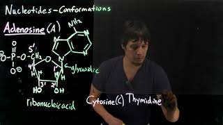 Topic 106  Nucleotides syn vs anti conformations [upl. by Inverson]