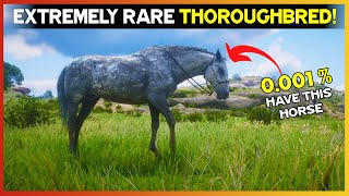 Get This Extremely Rare Dapple Gray Thoroughbred With Location  RDR2 [upl. by Aneen]