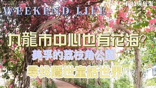 九龍市中心也有花海？ 美孚的荔枝角公園 尋找隱世童話世界 A visit to the Lai Chi Kok Park amp Bougainvillea viewing in Hong Kong [upl. by Pros]