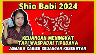 Pig zodiac predictions 2024 Prediksi Shio babi 2024 [upl. by Sauls980]