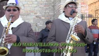 LOS MARAVILLOSOS DEL CENTRO MIX CHONGUINADAS 2015 VICO [upl. by Aehsila]