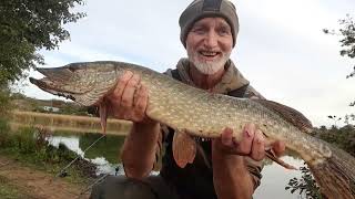 PIKE FISHING UK IN SEARCH OF MONSTER PIKE [upl. by Ettennad903]