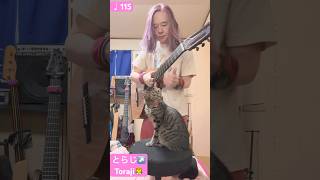 2024年10月26日 ギター練習ガットギター Guitar Practice  Classical Guitar Spanish Romance ♩115 [upl. by Yasmeen]