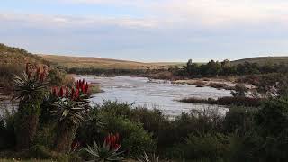 Calm flow of the Breede River [upl. by Whitman636]