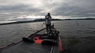 2024  2025 ABA Div 75 season opener on Lake Mitchell out of Higgins Ferry lamarcolemanfishing [upl. by Gian825]