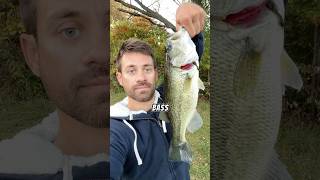 Fishing at Wampum Lake 🎣 fishing fishinglife fishingvideo fishingtrip bass [upl. by Dnomhcir901]