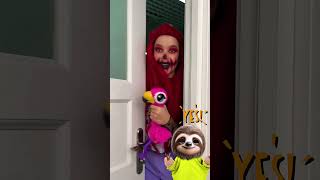 WAIT… DID THAT FLAMINGO JUST POP🦩 SLOTH NOT SURE I CAN HANDLE THIS funnyanimals funny sloth [upl. by Drarehs]