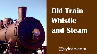 🚂 Old Train Whistle Sound Effects Old Steam Train Sounds 🔥2023 [upl. by Marigold953]