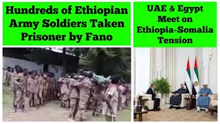 Hundreds of Ethiopian Soldiers Taken Prisoner by Fano  UAE amp Egypt Meet on EthiopiaSomalia Dispute [upl. by Brocklin]