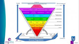 Sensory Processing and ASD [upl. by Welton]