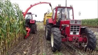 CASEIH 956 XL 844 XL 633 A  Maishäckseln 2017 SOUND [upl. by Willis]