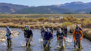 What is electrofishing [upl. by Adihaj]