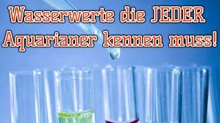 Wasserwerte die jeder kennen und verstehen muss  Wassertests die man zu Hause haben muss [upl. by Packer]