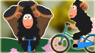 Baa Baa schwarze Schafe  Kinderzimmer reimt  KinderVideo [upl. by Foy435]