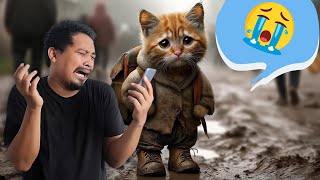 AI Cat Stories  Sad Meow Meow Song Meme Compilation 2024 [upl. by Maxia792]