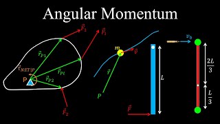 Angular Momentum Spin Orbital Conservation  Physics [upl. by Marlow]