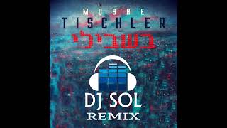 Moshe Tischler  Bishvili DJ Sol Remix [upl. by Moretta37]