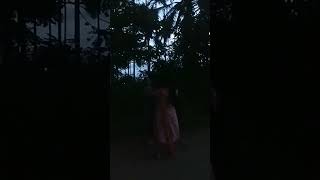 Pinnil vannu kannu pothamm🎧💃🏾🤗music malayalam dancer youtubeshorts [upl. by Natascha]