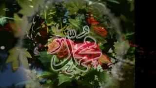 Habib Qalbi Muhammadsaw  Arabic Nasheed [upl. by Volney]