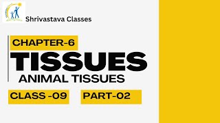 Understanding Muscular Connective and Nervous Tissues  Class 9 Science  CBSE Exam Prep [upl. by Tomkin571]