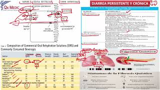 Pediatría  5 Diarrea Crónica en Pediatría [upl. by Jandel]