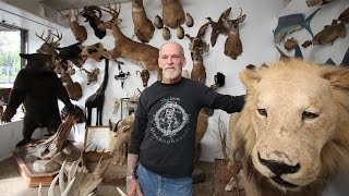 The Last Taxidermist In New York [upl. by Ciredec]