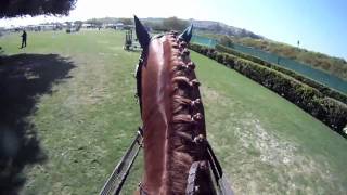 GoPro Horse Show Jumping [upl. by Abisia899]