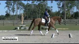 Use Cavalletti to Improve Trot Lengthenings [upl. by Dolora822]