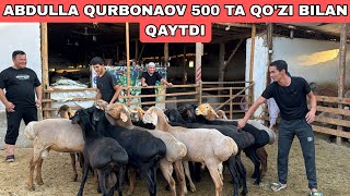 ABDULLA QURBONOV QAMALMADI 500 TA QOZI BILAN QAYTDI [upl. by Luzader]