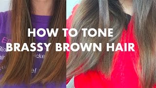 How to Tone Brassy Hair  eSalon Tinted Love Review [upl. by Adnilym]